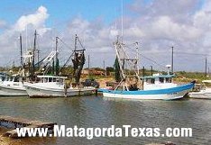 Shrimp Boats at rest...